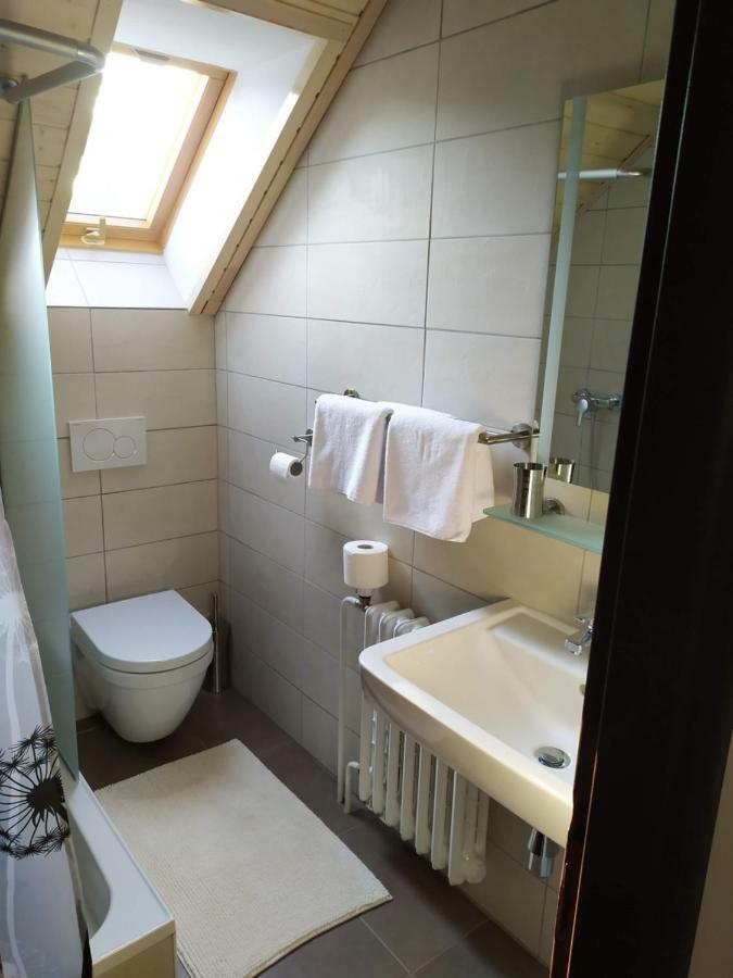Statek Cesky Dvur Hotel Postupice Kültér fotó